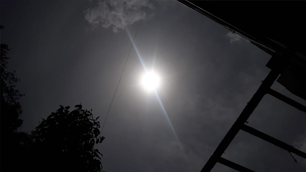 ಚೀನಾದ ವಿಜ್ಞಾನಿಗಳು ಅಧ್ಯಯನ ನಡೆಸಿದ್ದರು