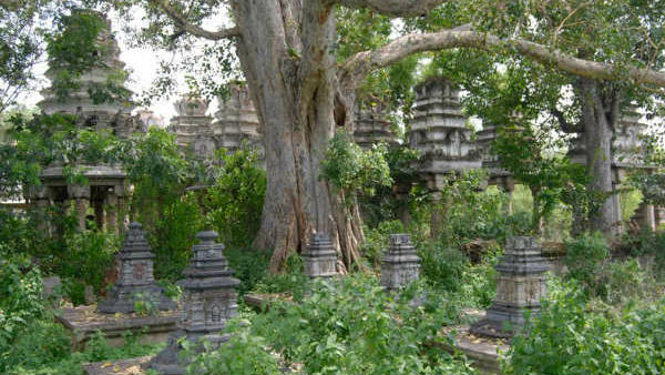 royal family cemetery madhuvana will become tourist place in coming days royal family cemetery madhuvana will become tourist place in coming days