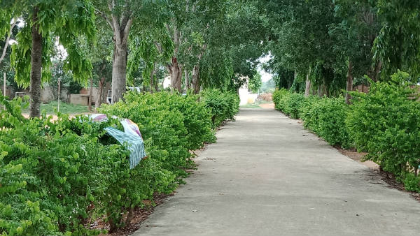 Srinivasapura government school in horrible condition 