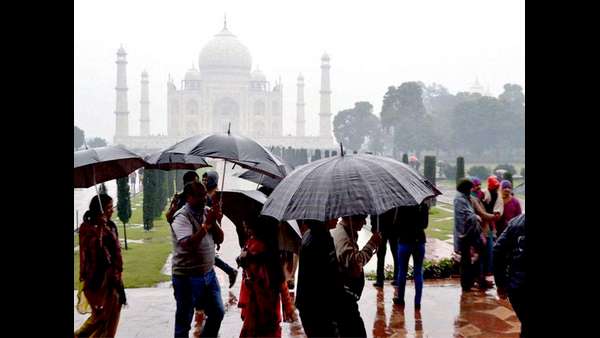 ಬಿಳಿ ಗೋಡೆಗಳ ಮೇಲಿನ ಹಸಿರು ಪಾಚಿ 