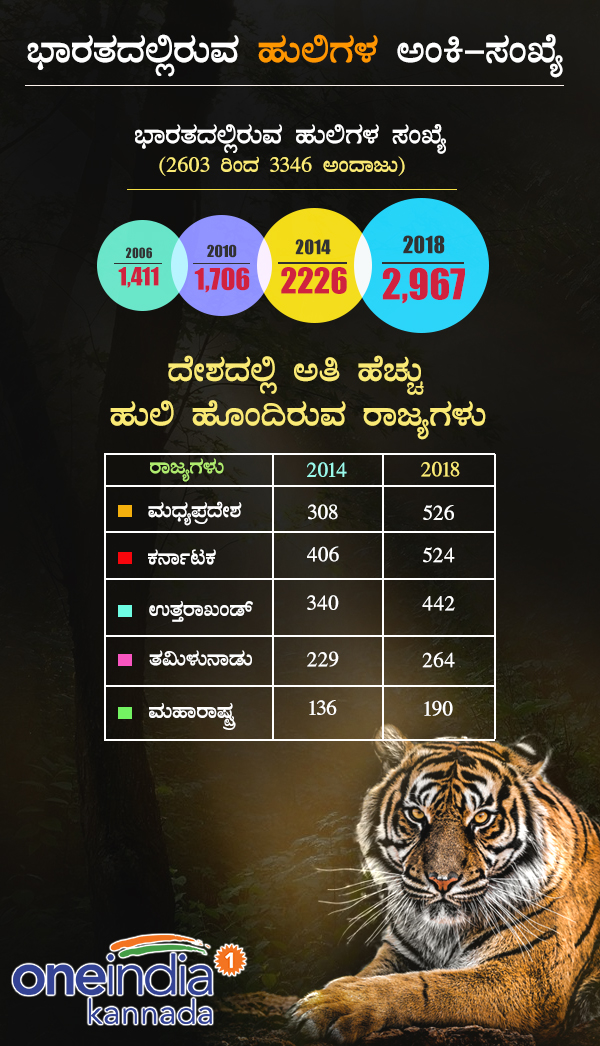 Tiger Census 2018: Madhya Pradesh beats Karnataka to reclaim Tiger state tag with 526 big cats