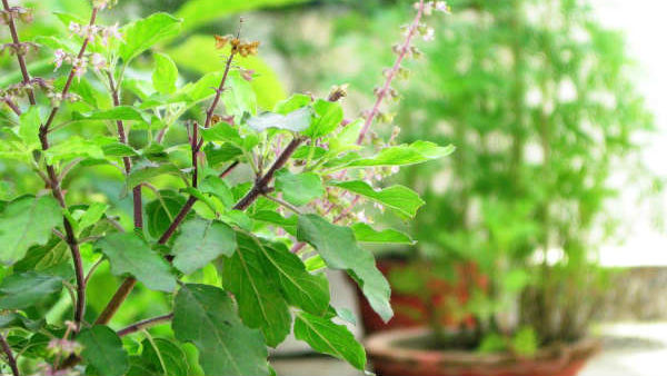 ಸಿದ್ಧಪಡಿಸಿದ್ದ ಆಹಾರವನ್ನು ಗ್ರಹಣದ ನಂತರ ಬಳಸಬಾರದು