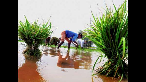 ರೈತರಿಗೆ ನಾಲ್ಕು ಸಾವಿರ 