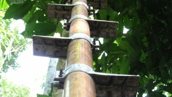 people are dying by alluminium ladders in kodagu