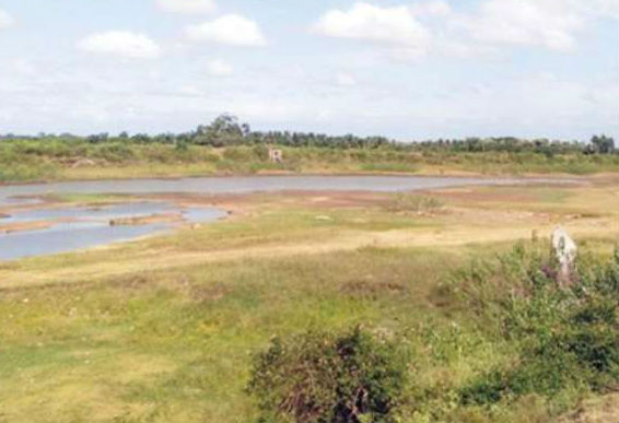 No water supply for Mandya canals, farmers are getting angry