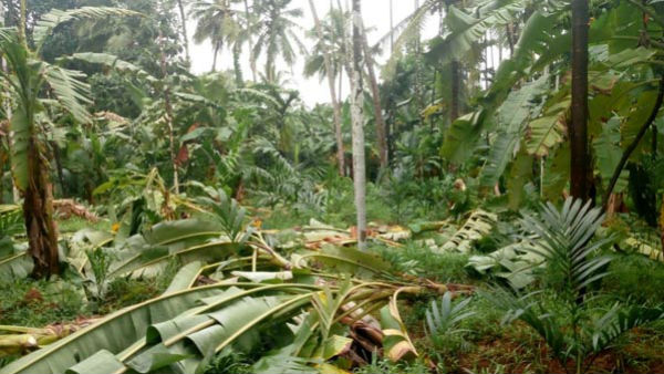 ಅನ್ನದಾತನ ಬದುಕು ಅಯೋಮಯ