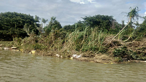 Trees of Middle in Rangantittu bird place has been shrine
