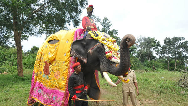 ಬಲಿಷ್ಠತೆಗೆ ಮತ್ತೊಂದು ಹೆಸರೇ ಈ ಧನಂಜಯ
