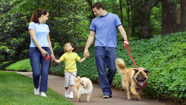 ಮನುಷ್ಯನ ಉತ್ತಮ ಸ್ನೇಹಿತ