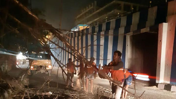 ಮರ ತೆರವಿಗೆ 28 ತಂಡ ರಚನೆ ಮರ ತೆರವಿಗೆ 28 ತಂಡ ರಚನೆ