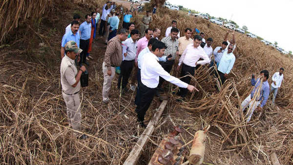 ತೋಟಗಾರಿಕಾ ಬೆಳೆಗಳ ನಾಶ