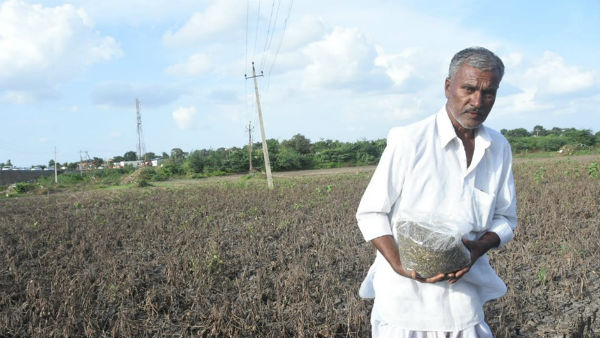 ತೋಟಗಾರಿಕಾ ಬೆಳೆಗಳಿಗೆ ಹಾನಿ