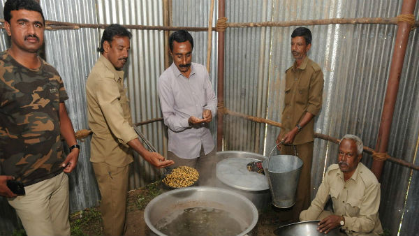 Special food is preparing for Mysuru dasara Jambusavari elephants