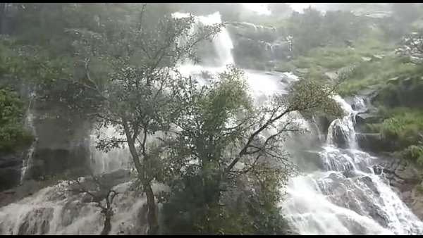 ಮೈಮನ ಸೆಳೆಯುತ್ತಾರೆ ಚಾರ್ಮಾಡಿ ಸುಂದರಿಯರು 