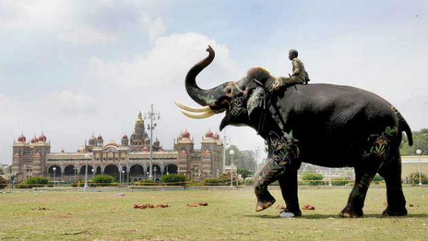 Mysuru Dassara Preparation has become slow