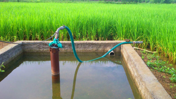 ಕೃಷಿ ಭೂಮಿಯ ಸ್ವರೂಪವೇ ಬದಲಾಗಬೇಕು 