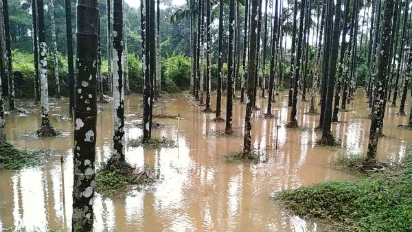 Heavy rain in Dakshina Kannada and Western Ghat