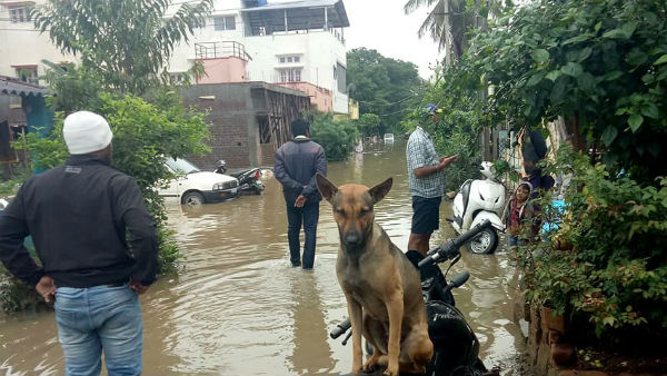 ಕೆಟ್ಟ ವಾಹನಗಳನ್ನು ತಳ್ಳಿಕೊಂಡು ಗ್ಯಾರೇಜ್ ನತ್ತ ಓಟ