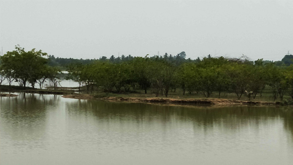 ಕೆರೆಗಳ ಪುನರುಜ್ಜೀವನ ಚಟುವಟಿಕೆಗಳ ಕುರಿತು