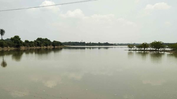 ಶೆಲ್ ಸಂಸ್ಥೆಯ ಸಾಮಾಜಿಕ ಹಾಗೂ ಪರಿಸರ ಸುಸ್ಥಿರತೆ 