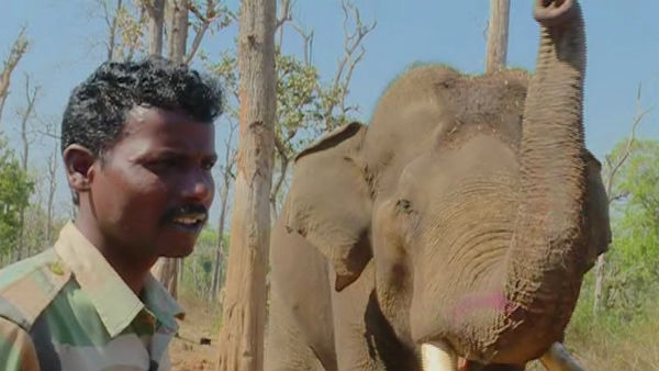 ಕಾವೇರಿಗೆ ಇದು 9ನೇ ದಸರಾ