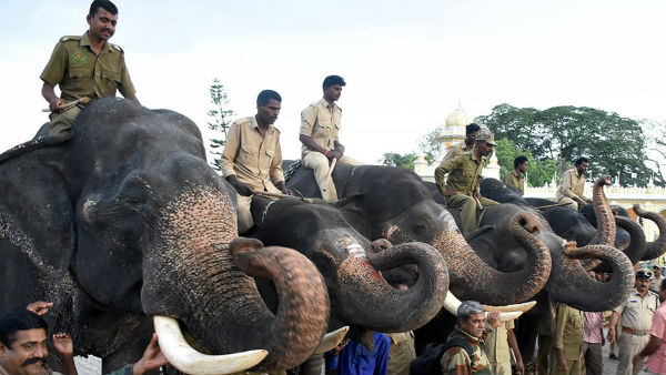 23 ವರ್ಷಗಳಿಂದ ದಸರಾದಲ್ಲಿ ಭಾಗಿಯಾಗುತ್ತಿರುವ ಬಲರಾಮ