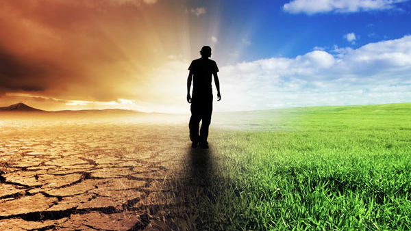 Geometry Box And Life Calculation