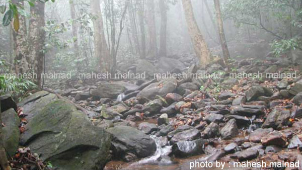 ಕಣ್ಣೀರು ತರಿಸಿದ ತಂದೆ, ತಾಯಿ, ಸ್ನೇಹಿತರೆಲ್ಲರ ನೆನಪು