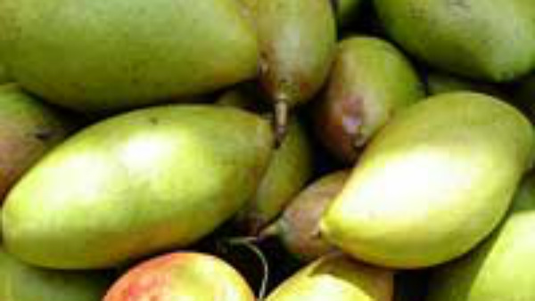 ಅಪ್ಪೆಹುಳಿಯ ಉಪಯೋಗ