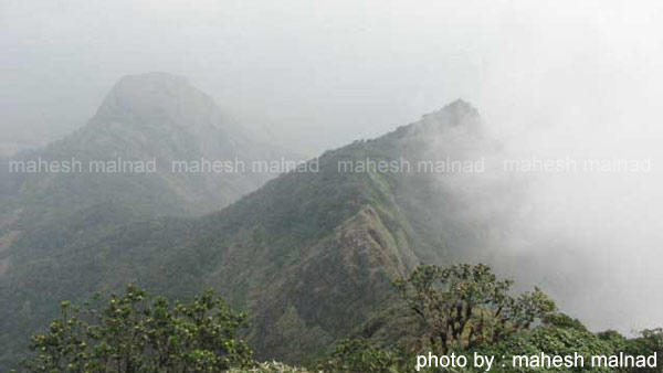 ಕೊನೆಗೂ ಬದುಕಿದೆ!