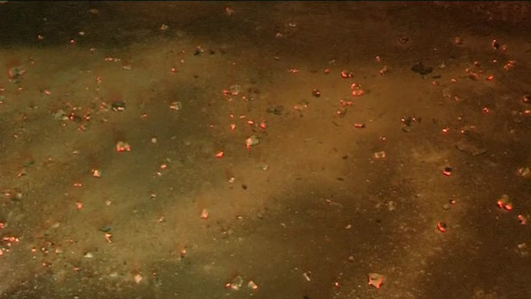  ಬೆಂಕಿಯೇ ಬದುಕಿಗೆ ಆಸರೆ