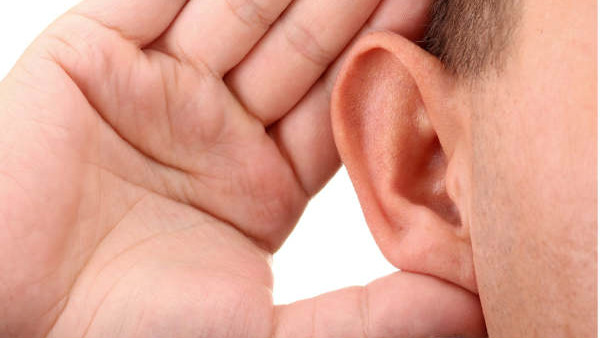 The Importance Of Ears In Life The Importance Of Ears In Life