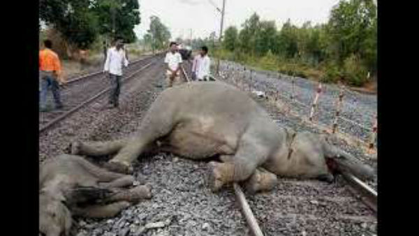 ವೇಗ ಇಳಿಕೆಯಾದರೂ ಪ್ರಯೋಜನವಿಲ್ಲ