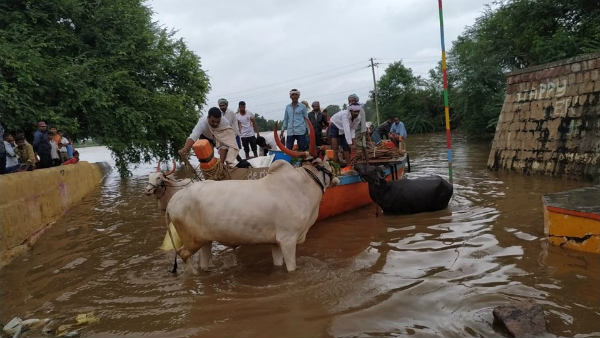 ಎಷ್ಟು ಹಣ ಬಿಡುಗಡೆಯಾಗಿದೆ?