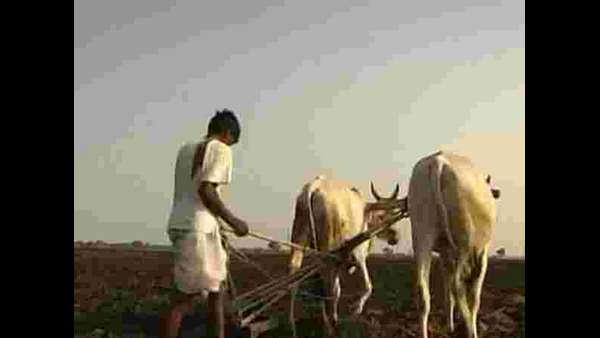 ಅಪನಗದೀಕರಣದ ಆತಂಕ ನಿಜವಾಗಿದೆ