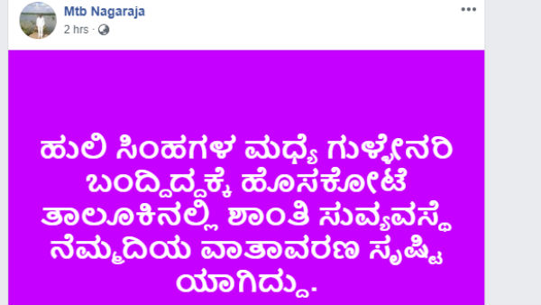 ಹುಲಿ, ಸಿಂಹಗಳ ನಡುವೆ ಗುಳ್ಳೇನರಿ ಹುಲಿ, ಸಿಂಹಗಳ ನಡುವೆ ಗುಳ್ಳೇನರಿ