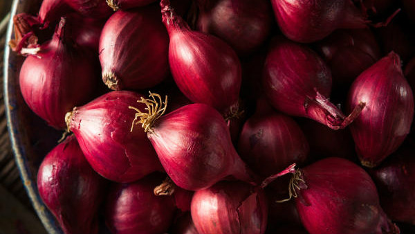 ಅಫ್ಘಾನ್ ಈರುಳ್ಳಿಗೆ ಬೇಡಿಕೆ ಹೆಚ್ಚು 