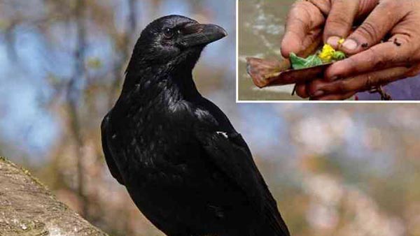 ಮಹಾಲಯ ಅಮಾವಾಸ್ಯೆ ಆಚರಣೆ ಹಿಂದೊಂದು ಕಥೆ 