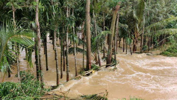 ಬೆಳೆಗಳಿಗೆ ಪರಿಹಾರ ನೀಡಿ