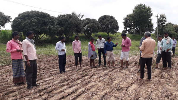 ಶಾಶ್ವತ ನೀರಾವರಿ ಭೂಮಿ