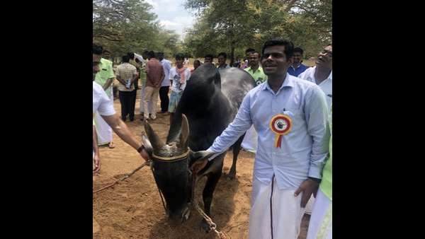 ಹೊರದೇಶಕ್ಕೆ ಹೋಗುವವರು ಧೈರ್ಯಶಾಲಿಗಳು