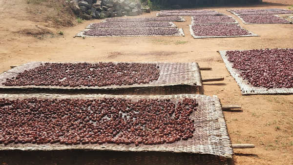 Rajasthan Banned Sale Of Pan Masala Rajasthan Banned Sale Of Pan Masala