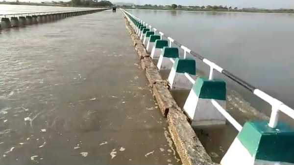  ಮೂಕ ಪ್ರಾಣಿಗಳ ಗೋಳು ಕೇಳುವವರಾರು?
