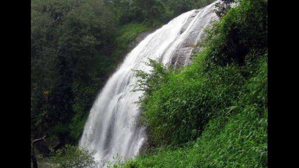  ಕಾನನದ ನಡುವಿನ ತೊಂಗ್ ಕೊಲ್ಲಿ