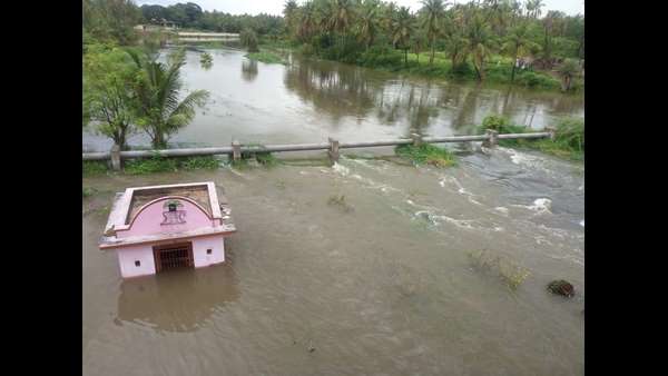  ಮತ್ತೆ ಕೃಷಿಯೆಡೆಗೆ ಮುಖ ಮಾಡಿದ ರೈತರು