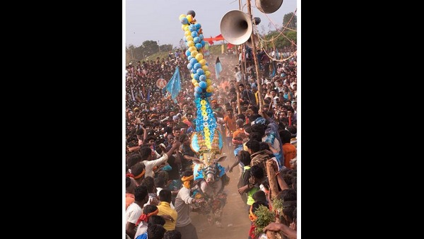  ತಮಿಳುನಾಡಿನಿಂದ ಹೋರಿಗಳ ಖರೀದಿ