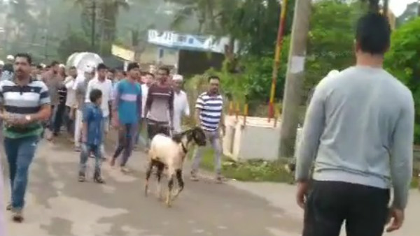 Sheep Participated In Funeral Of Man In Koppa