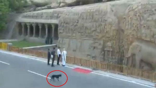 Security breach at Modi-XI summit, black dog spotted at Arjuna Penance monument Security breach at Modi-XI summit, black dog spotted at Arjuna Penance monument