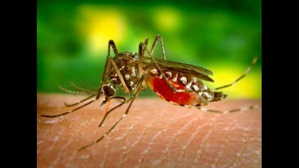 ಕೆಲವೇ ವಸ್ತುಗಳು ಸಾಕು