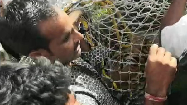 Chamarajanagar: Man Eater Tiger Captivated By Forest Department